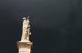 1229 Urbino-